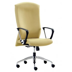 FOCUS SERIES FABRIC HIGH BACK CHAIR (E818H)