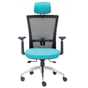 RAISE SERIES MESH HIGH BACK CHAIR (E2921H)