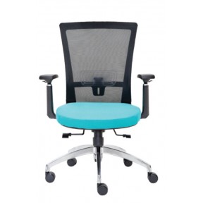 RAISE SERIES MESH LOW BACK CHAIR (E2922H)